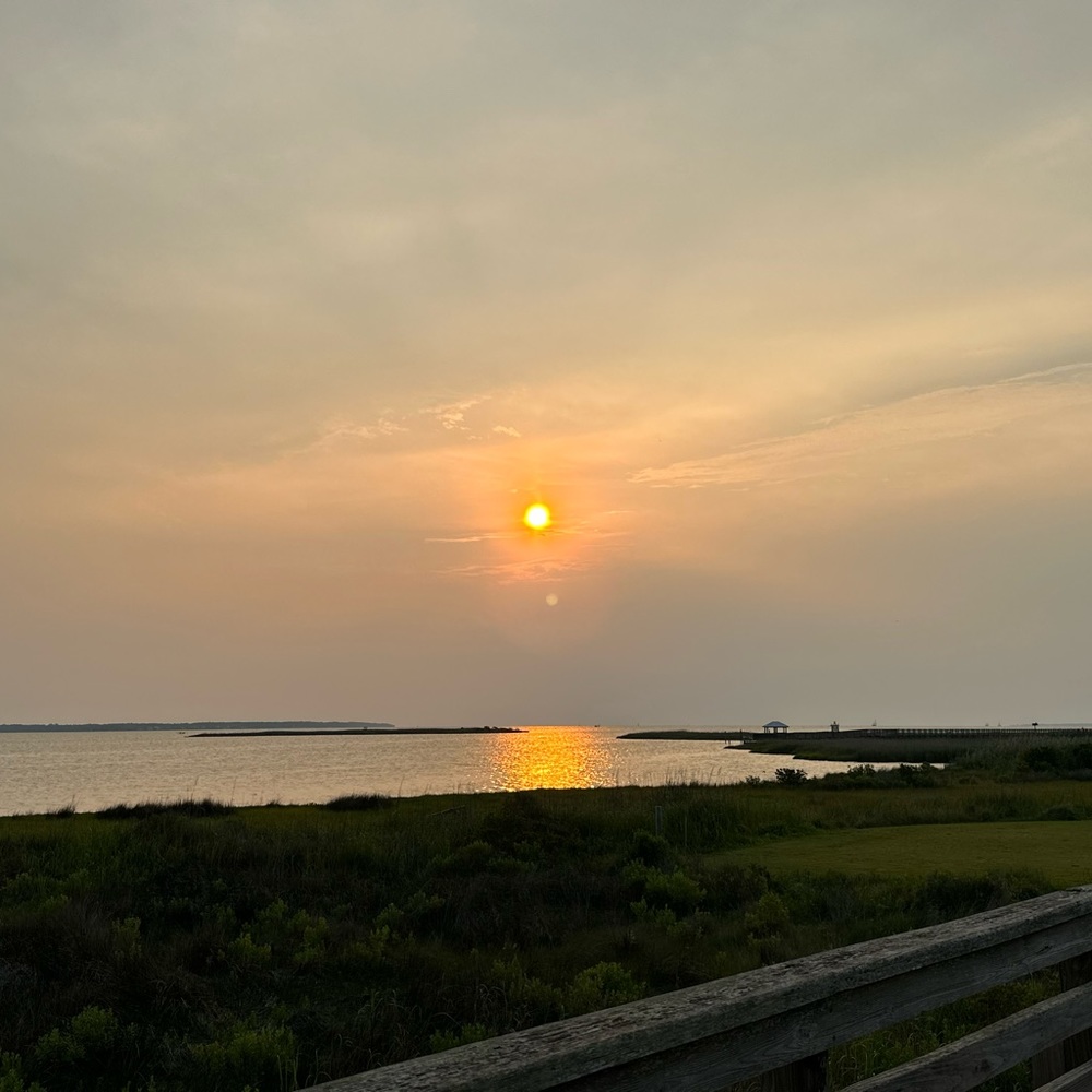 Meet your Posher, Shaylene